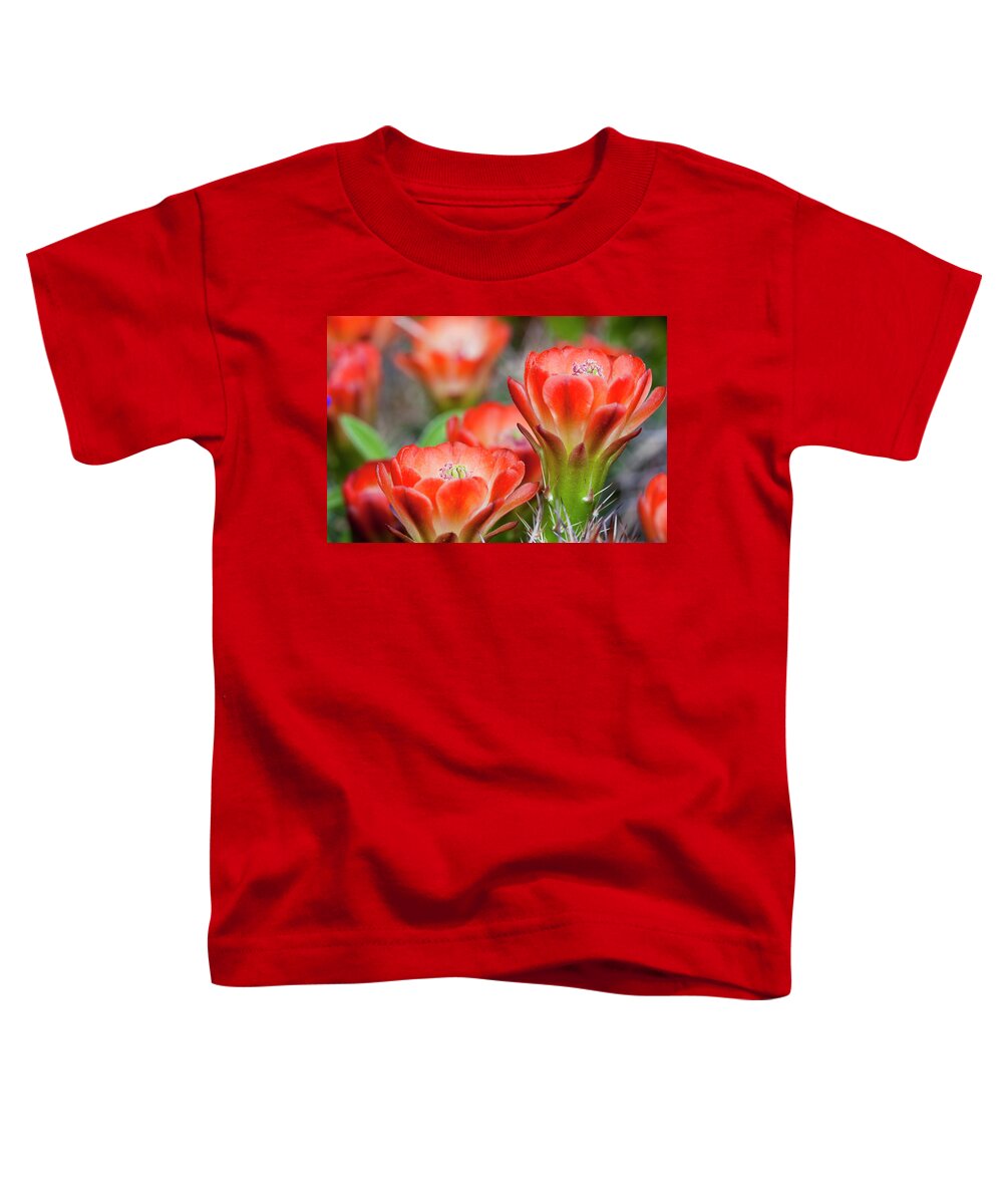 Abundance Toddler T-Shirt featuring the photograph Claret Cup Pop by Eggers Photography