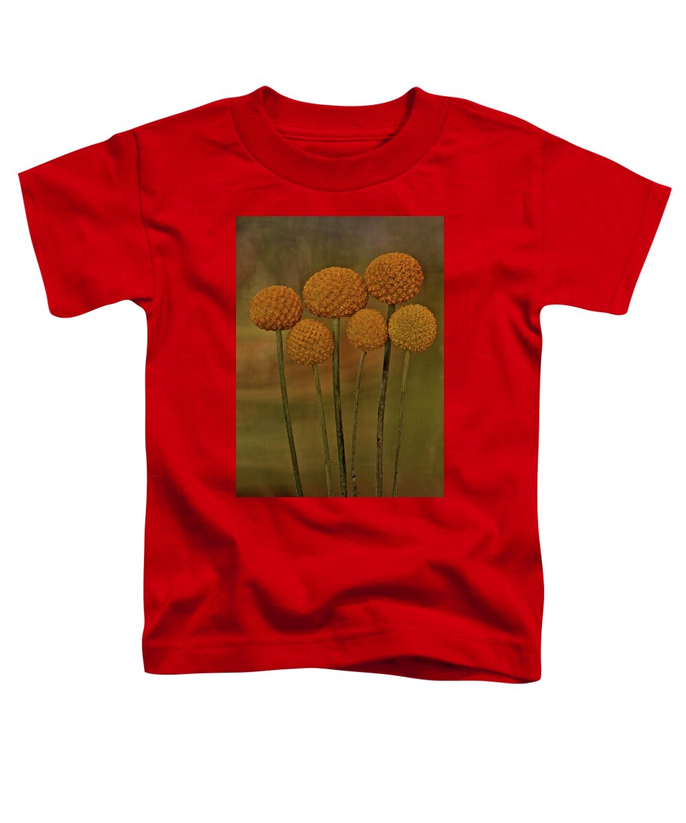 Botanical Toddler T-Shirt featuring the photograph Craspedia 4310 by Julie Powell