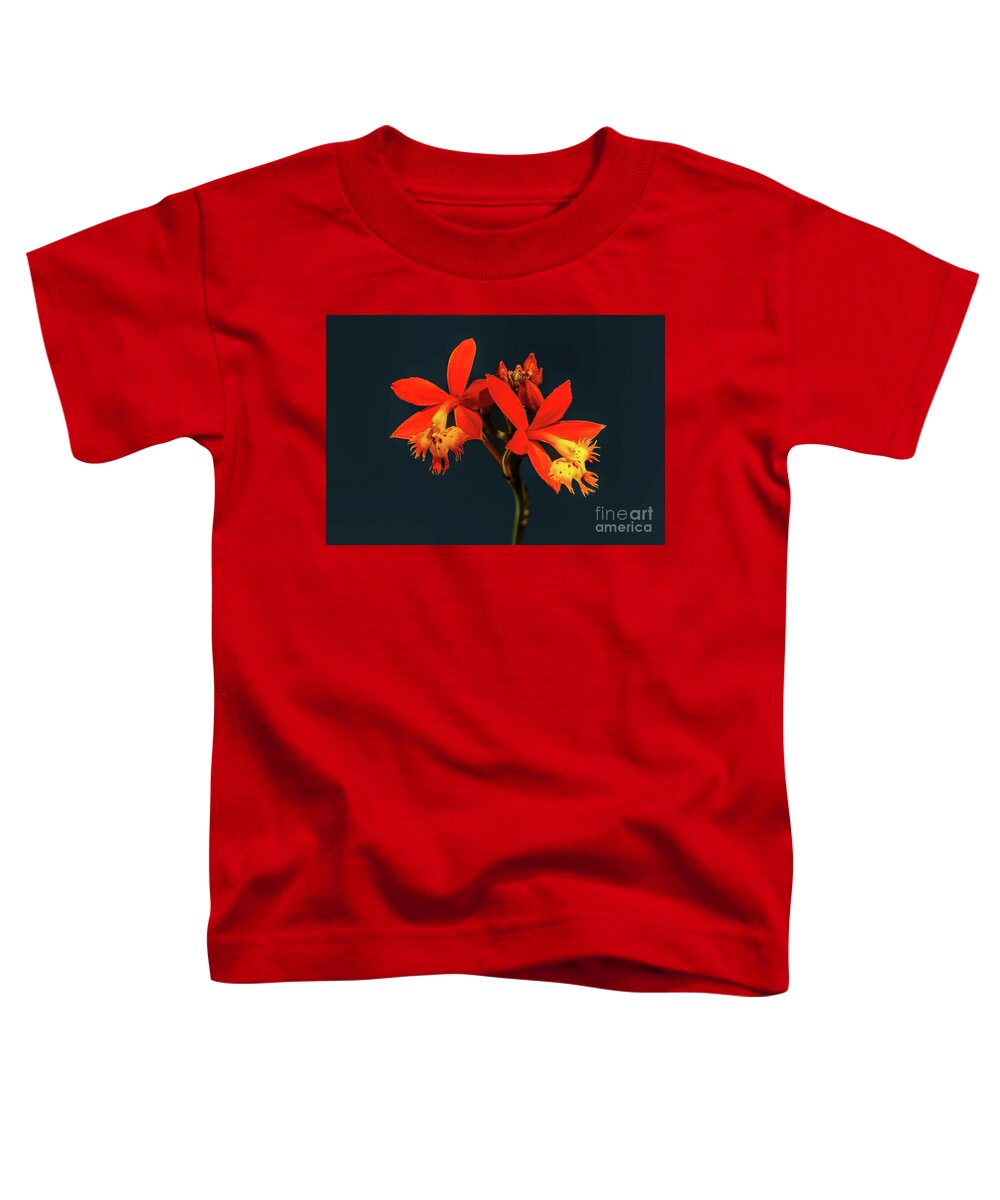 Crucifix Orchid Toddler T-Shirt featuring the photograph Crucifix Orchid by Felix Lai