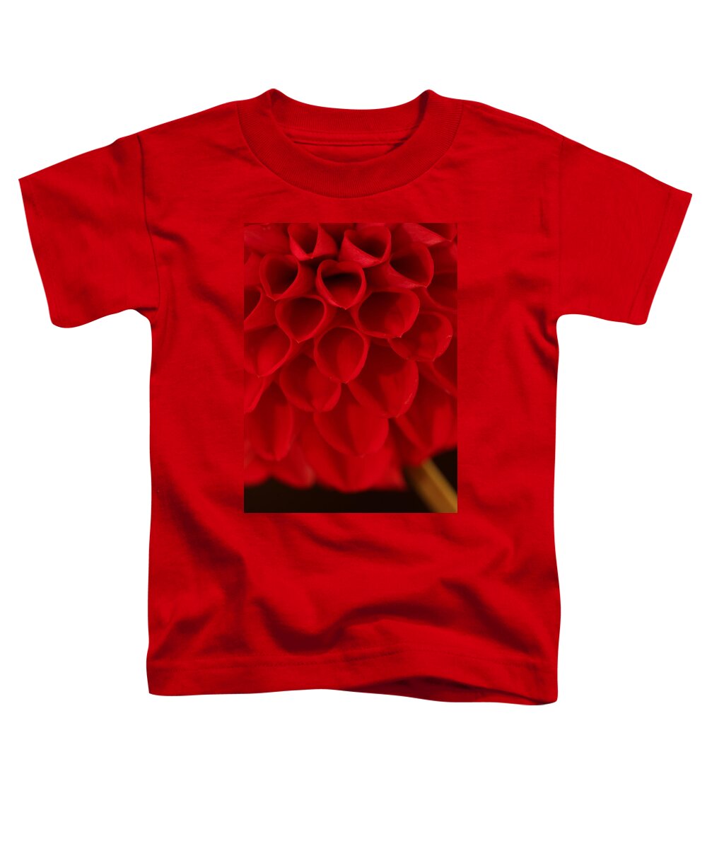 Flower Toddler T-Shirt featuring the photograph Dahlia 4384 by Julie Powell