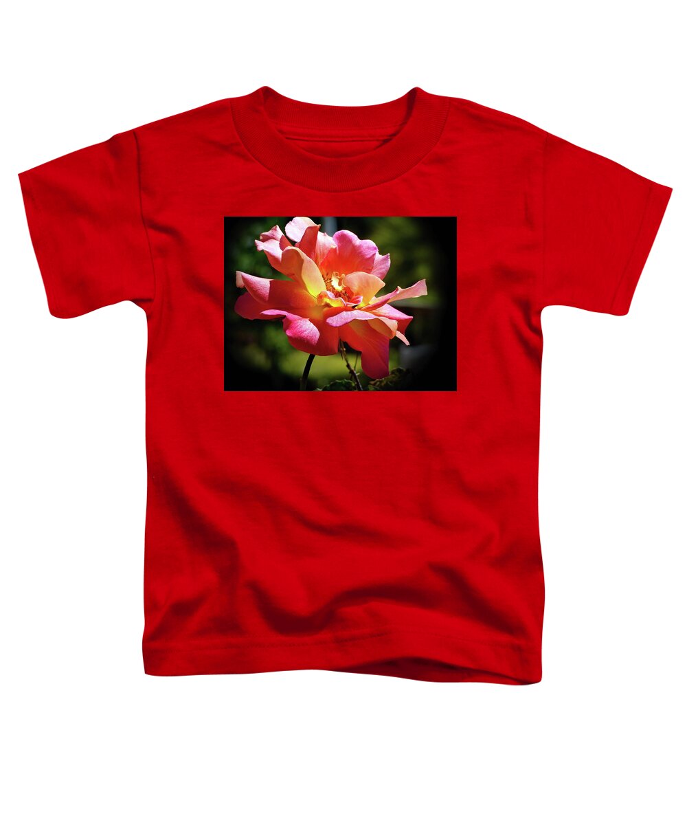 Rose Toddler T-Shirt featuring the photograph Delicate Gorgeous Pinata Rose by Lyuba Filatova
