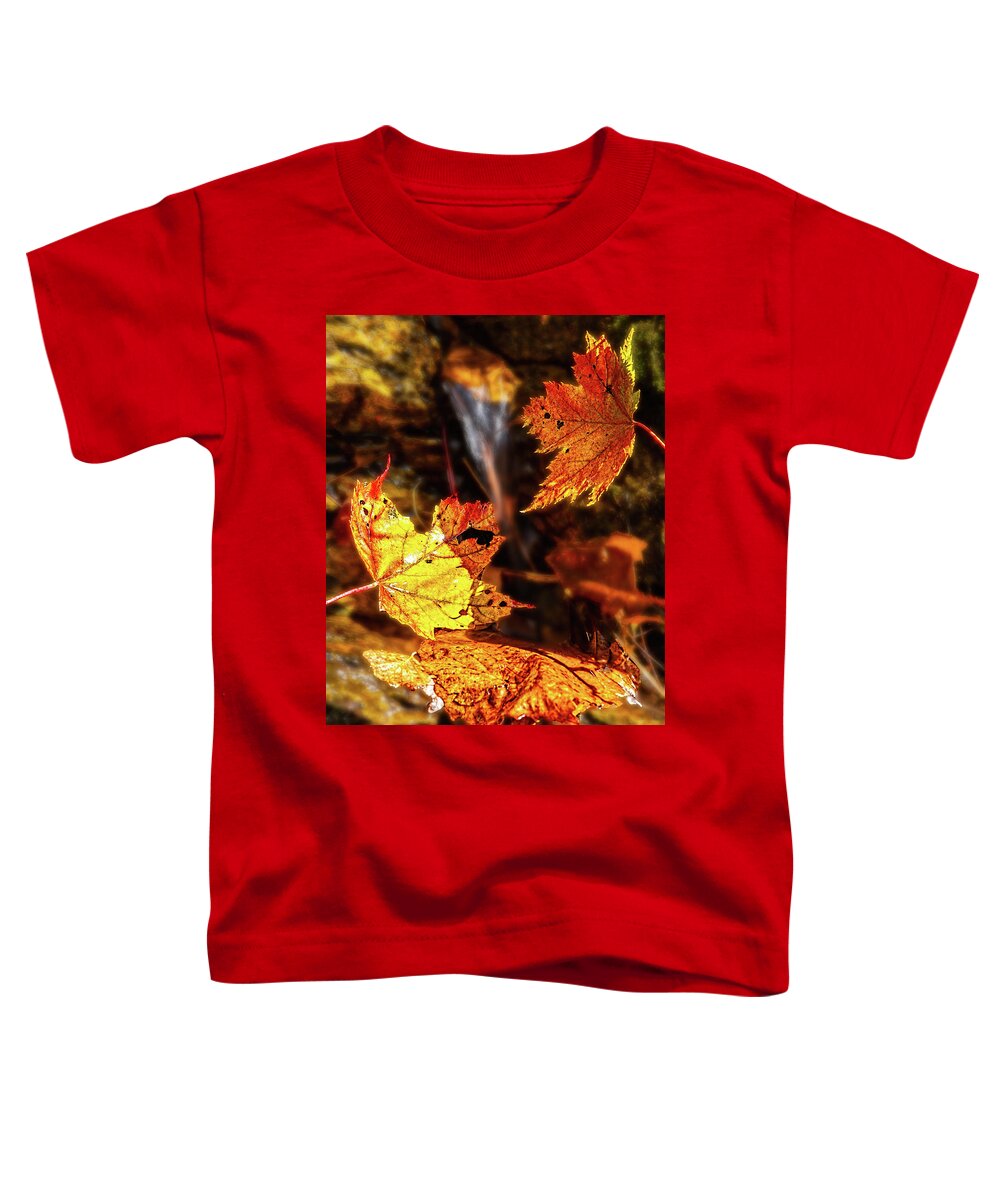 Autumn Toddler T-Shirt featuring the photograph Falling Leaves Fall Colors by Dan Carmichael