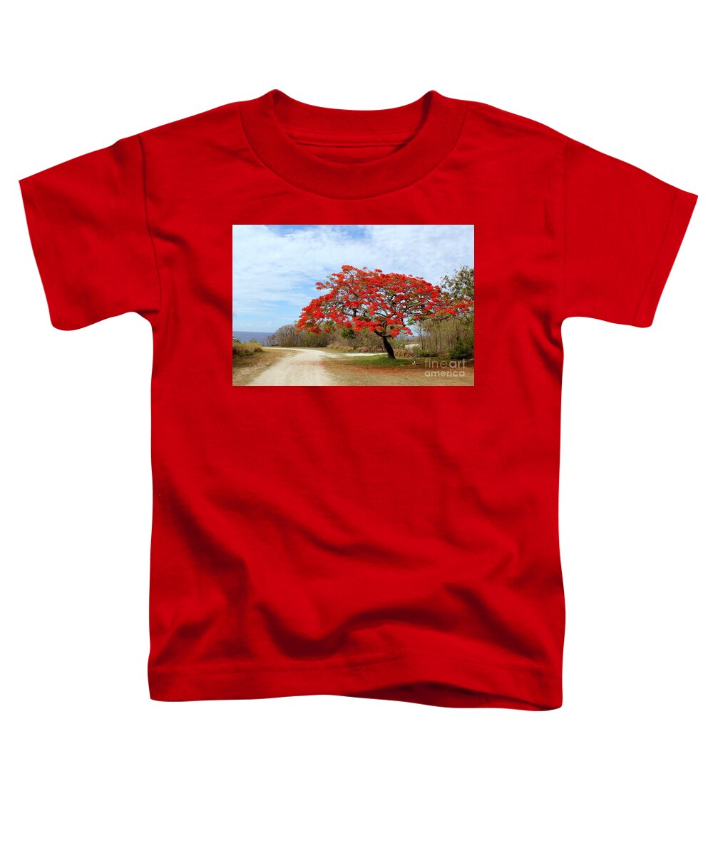 Blooms Toddler T-Shirt featuring the photograph Flame tree in Full Bloom by On da Raks