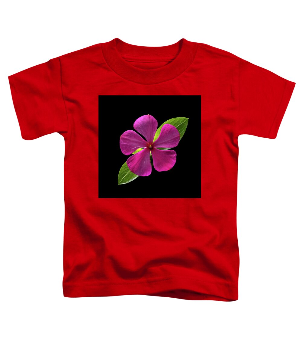 Fuchsia Toddler T-Shirt featuring the photograph Fuchsia and Green on Black by Kevin Suttlehan