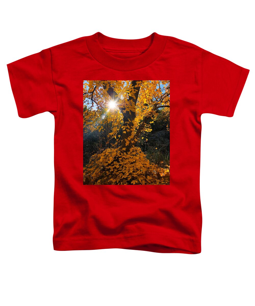 Autumn Toddler T-Shirt featuring the photograph Glistening Golden Skirted Tree by Doris Aguirre