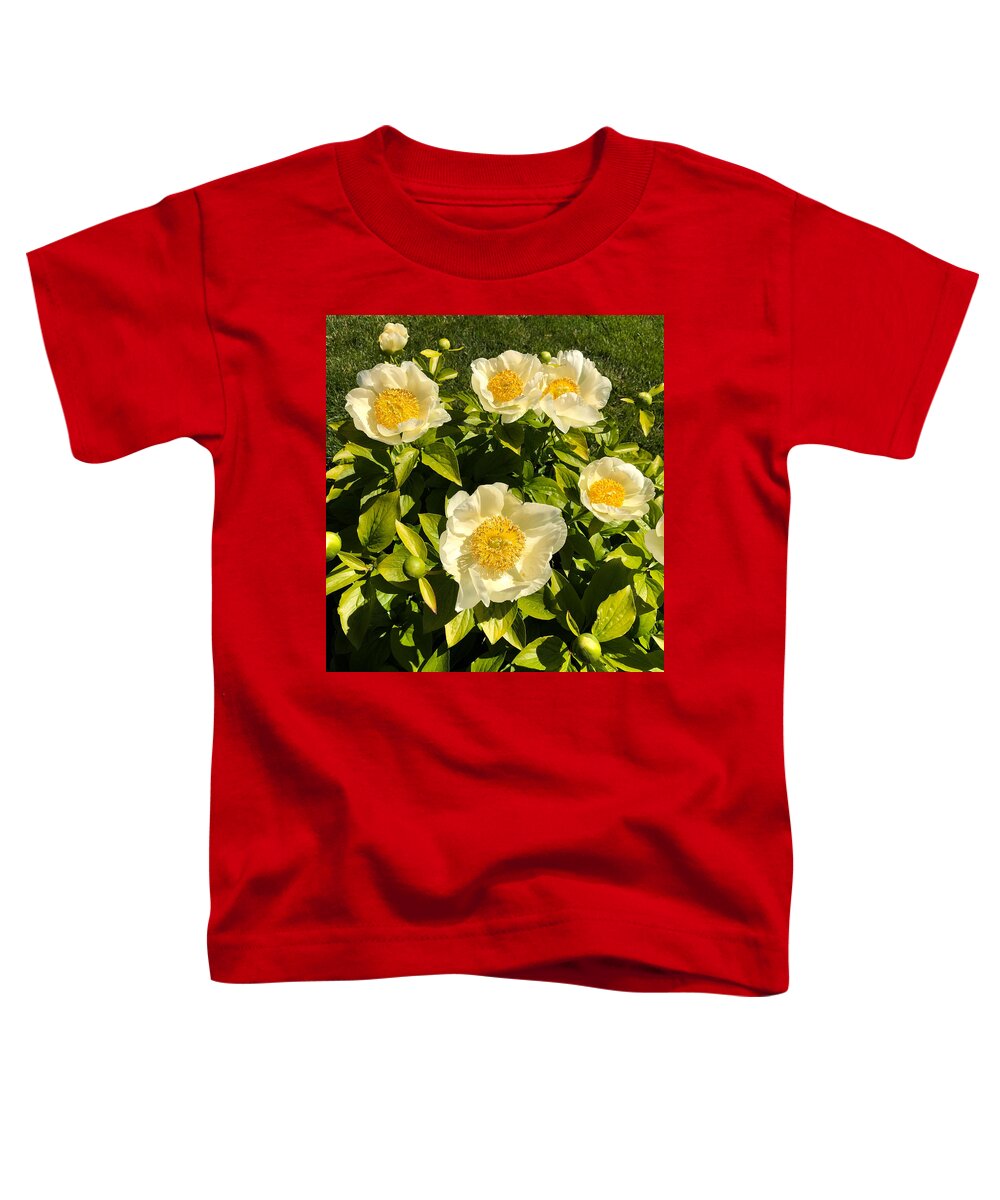Flower Toddler T-Shirt featuring the photograph Golden Angel Peonies by Russel Considine