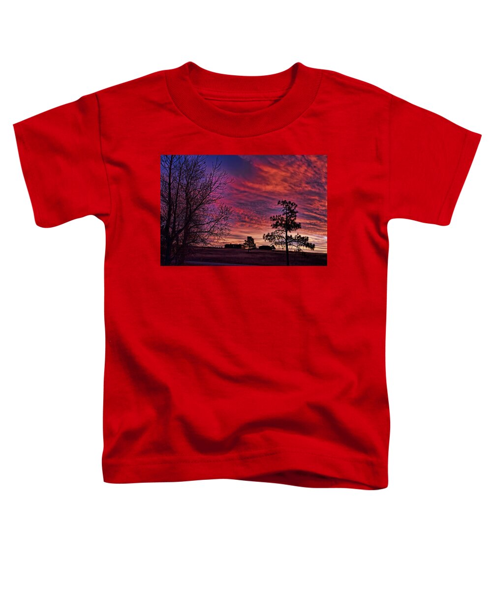 Sky Toddler T-Shirt featuring the photograph Good Morning Jack and Diane by Alana Thrower