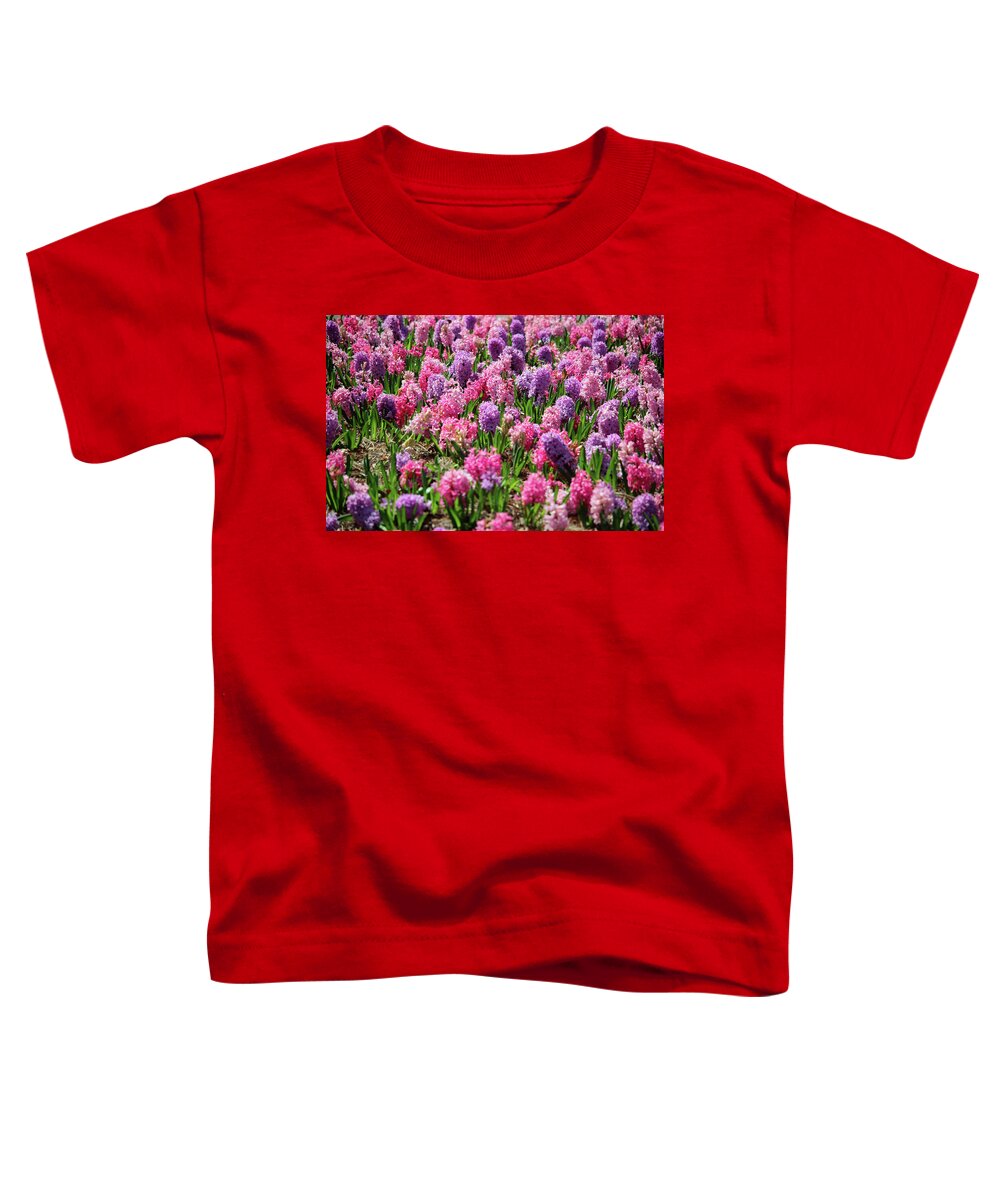 Hyacinth Toddler T-Shirt featuring the photograph Hyacinth Colorful Flowerbed by Cynthia Guinn