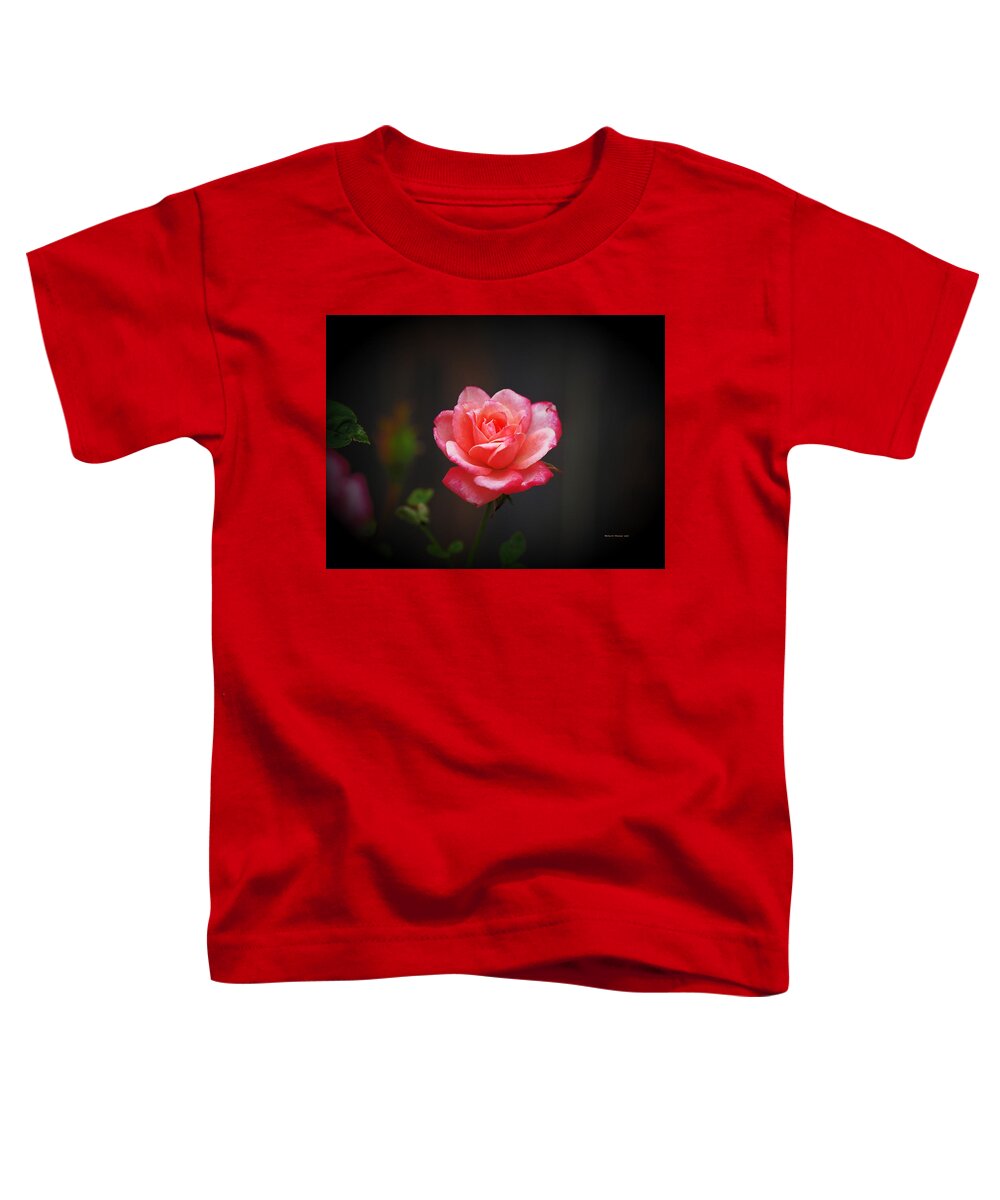 Botanical Toddler T-Shirt featuring the photograph Miniature Pink Beauty by Richard Thomas