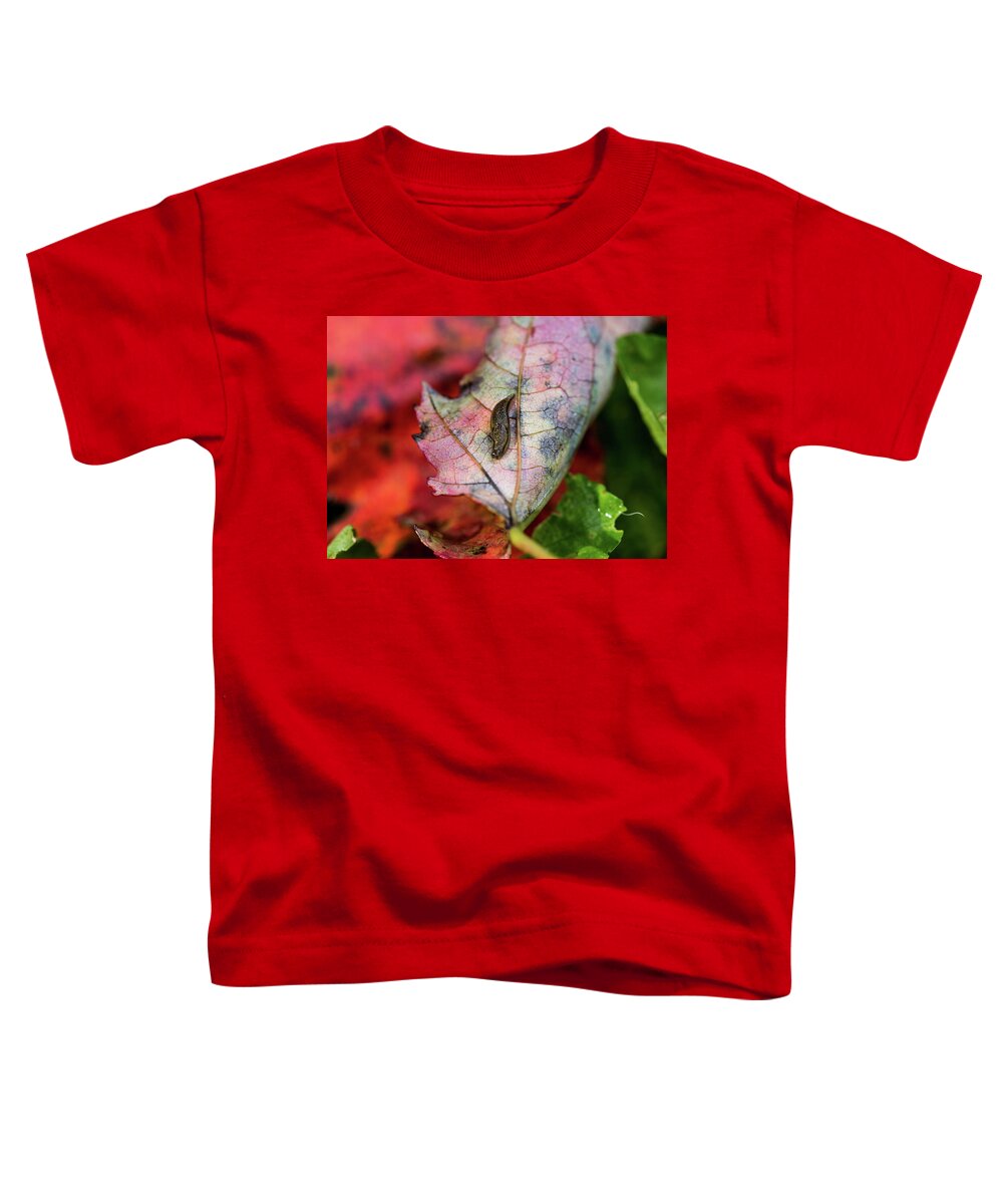 Insect Toddler T-Shirt featuring the photograph Nature Photography - Slug on a Leaf by Amelia Pearn