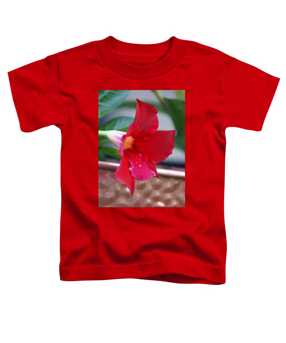  Toddler T-Shirt featuring the photograph Rainy Mandevilla by Heather E Harman