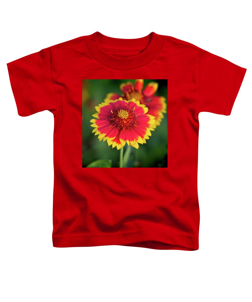 Red Toddler T-Shirt featuring the photograph Red and Yellow Flower by Steve DaPonte