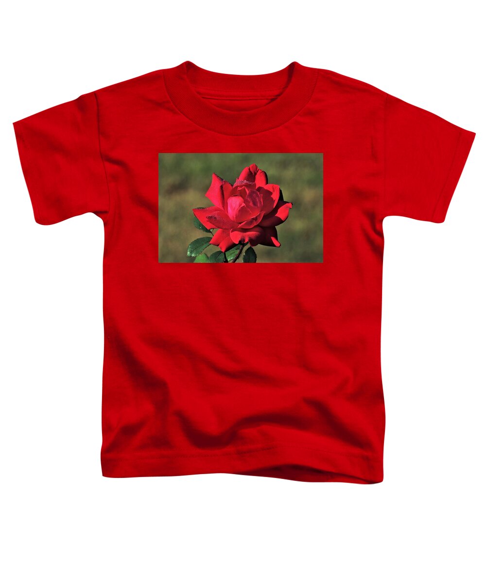 Nature Toddler T-Shirt featuring the photograph Red Rose and Dew by Sheila Brown