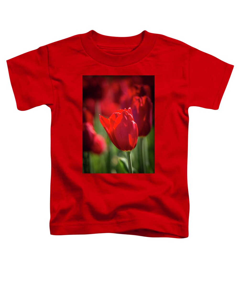 Art Hill Toddler T-Shirt featuring the photograph Red Tulip on Art Hill by Joe Kopp