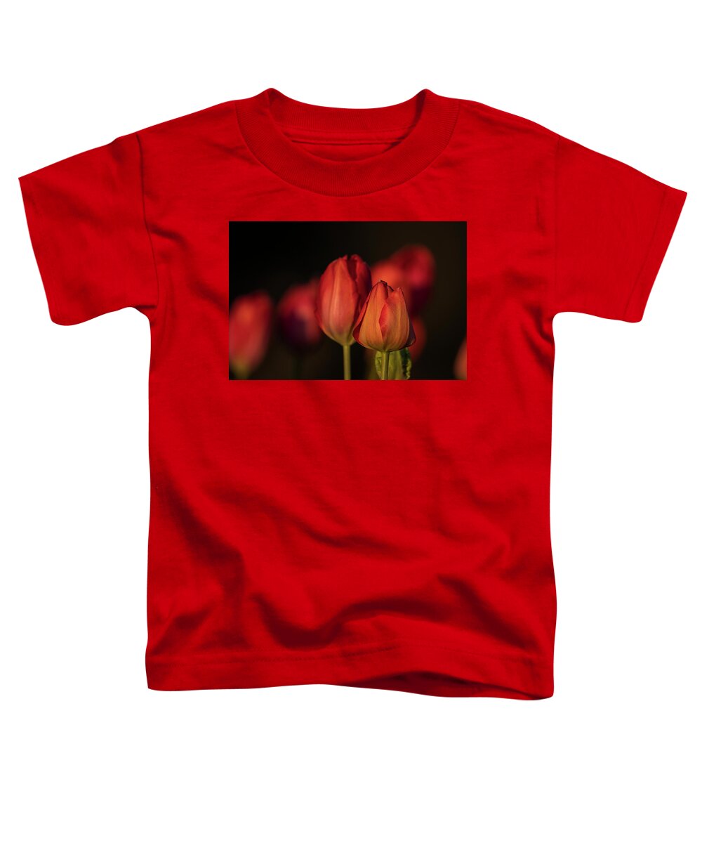 April Toddler T-Shirt featuring the photograph Red Tulips in Evening by Robert Potts