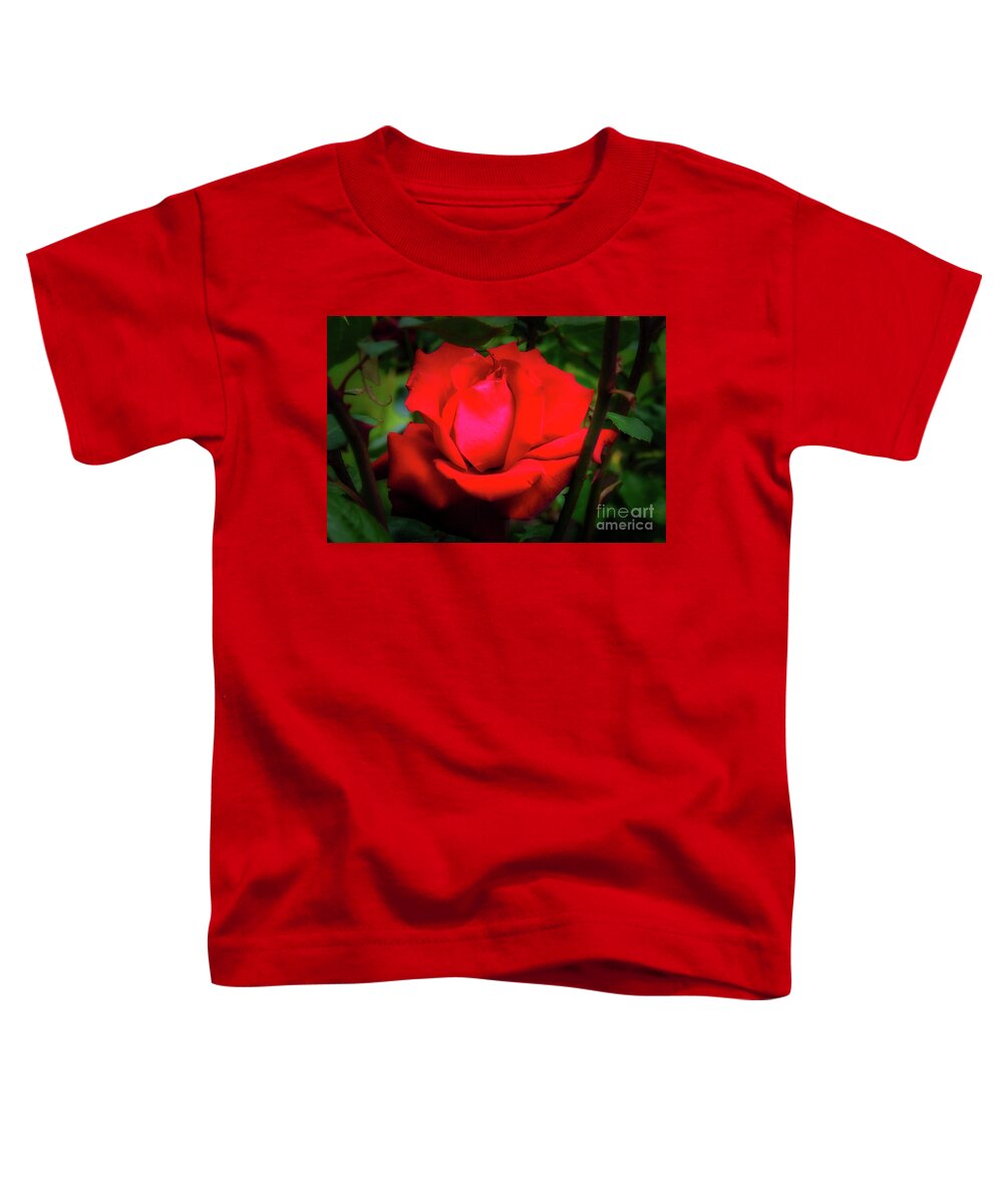 Christchurch Toddler T-Shirt featuring the photograph Rose at Mona Vale Gardens, Christchurch by Fran Woods