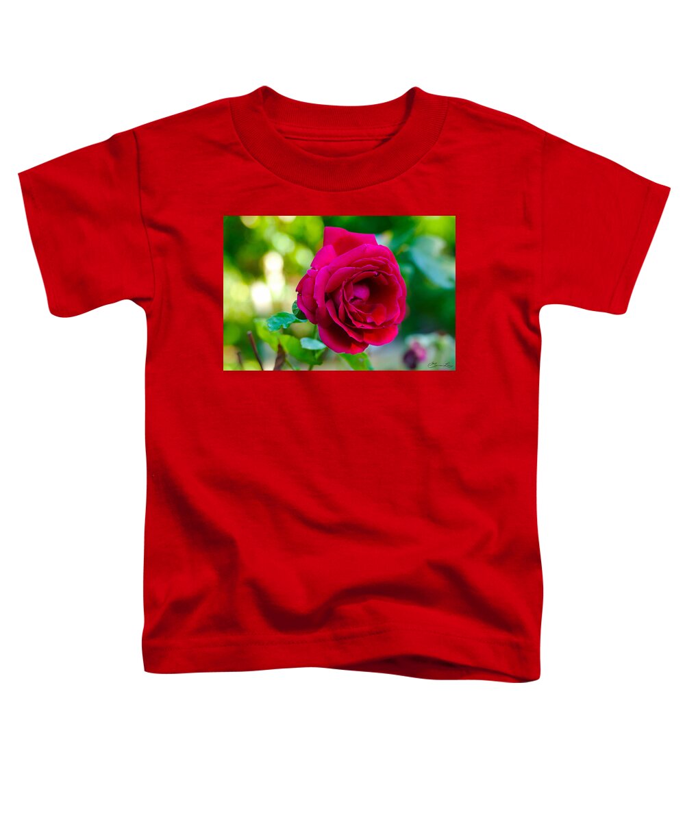 Fstop101 Flower Flora Rose Pedals Leaves Leaf Buds Red Green Toddler T-Shirt featuring the photograph Rose by Gene Lee