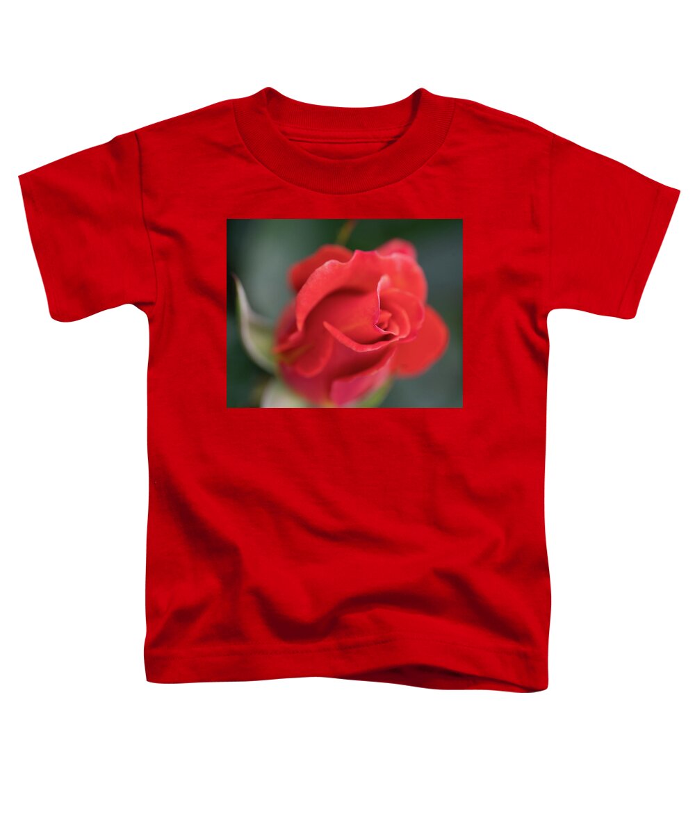 Face Mask Toddler T-Shirt featuring the photograph Rosebud 2 by Ryan Weddle