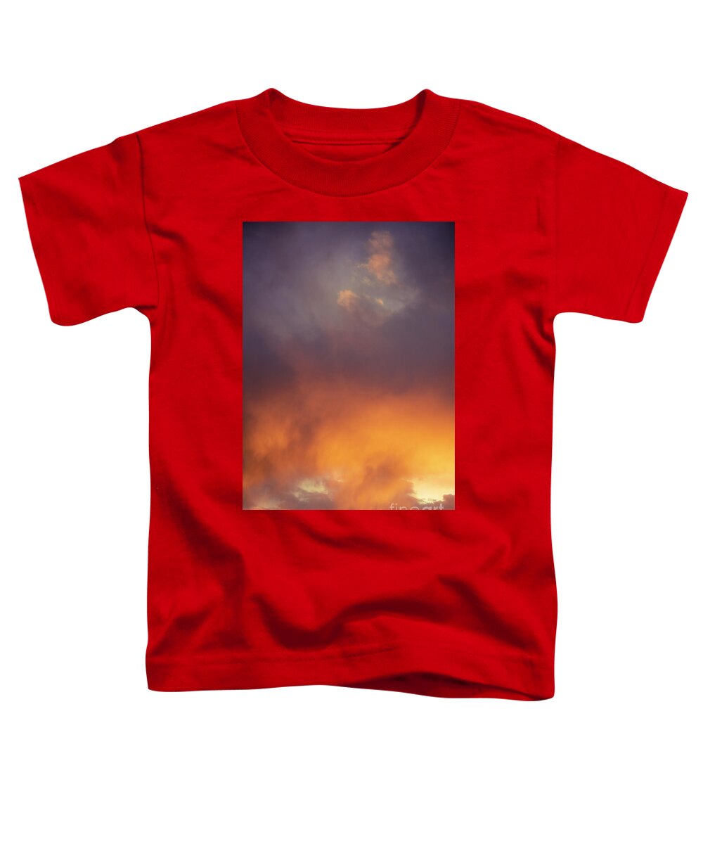 Natanson Toddler T-Shirt featuring the photograph Sunset in the Ortiz Mountains 17 by Steven Natanson