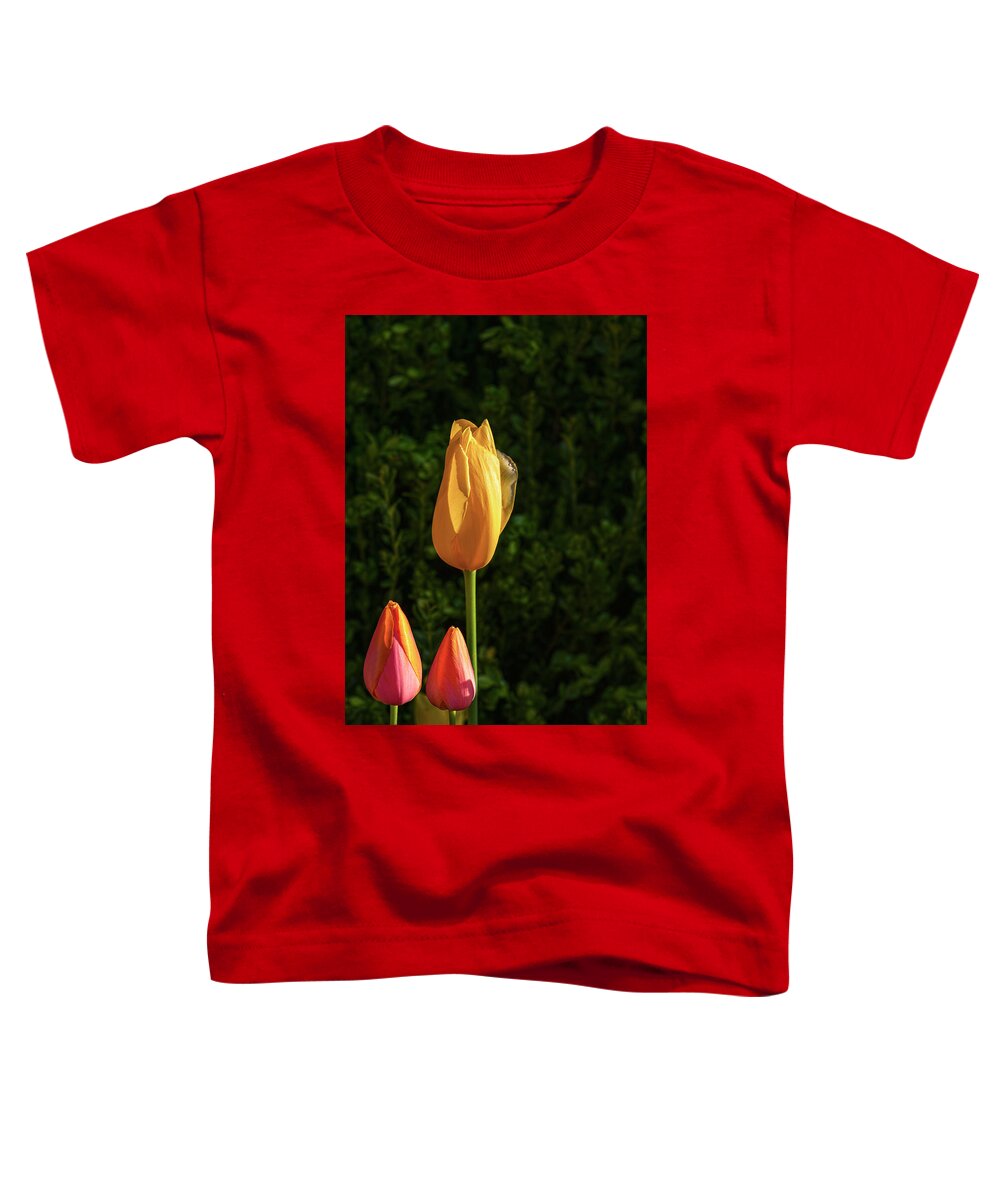 Tulips Toddler T-Shirt featuring the photograph The Floral Classroom by Angelo Marcialis