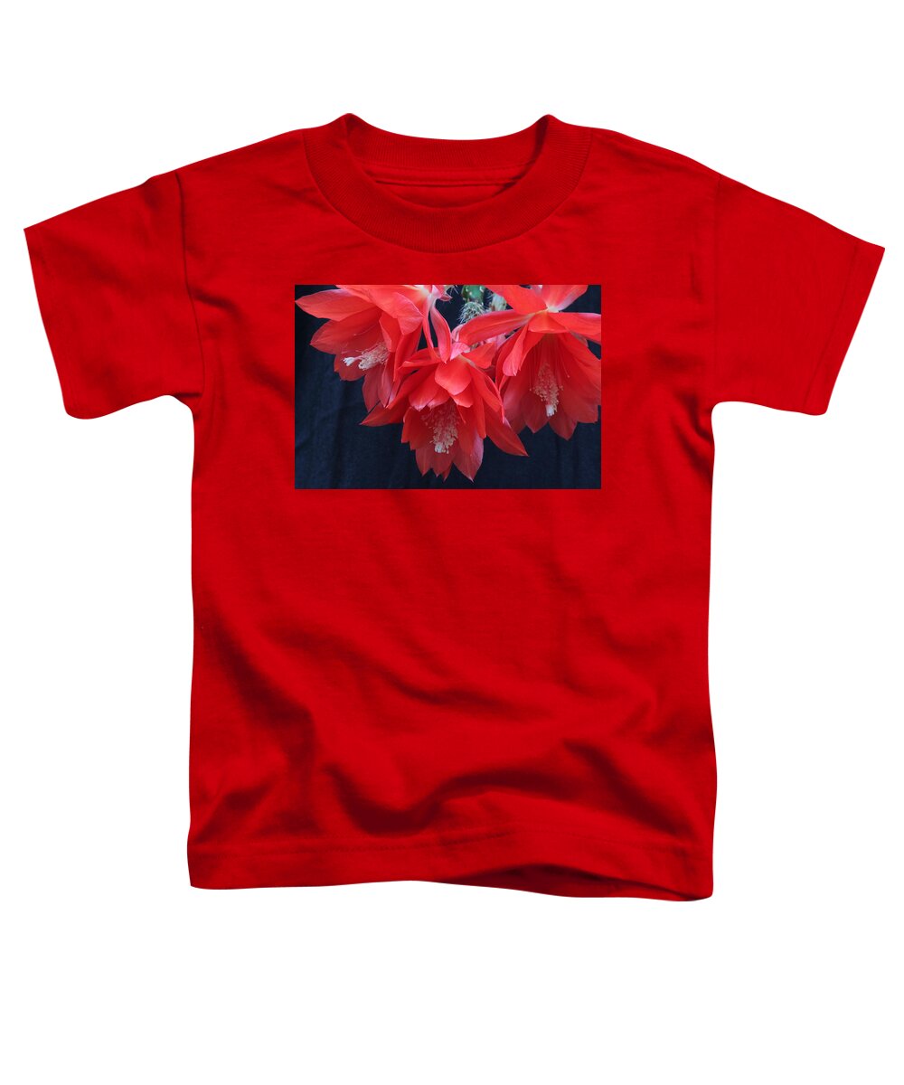 Floral Toddler T-Shirt featuring the photograph Triple Orchid Cactus in Red by E Faithe Lester
