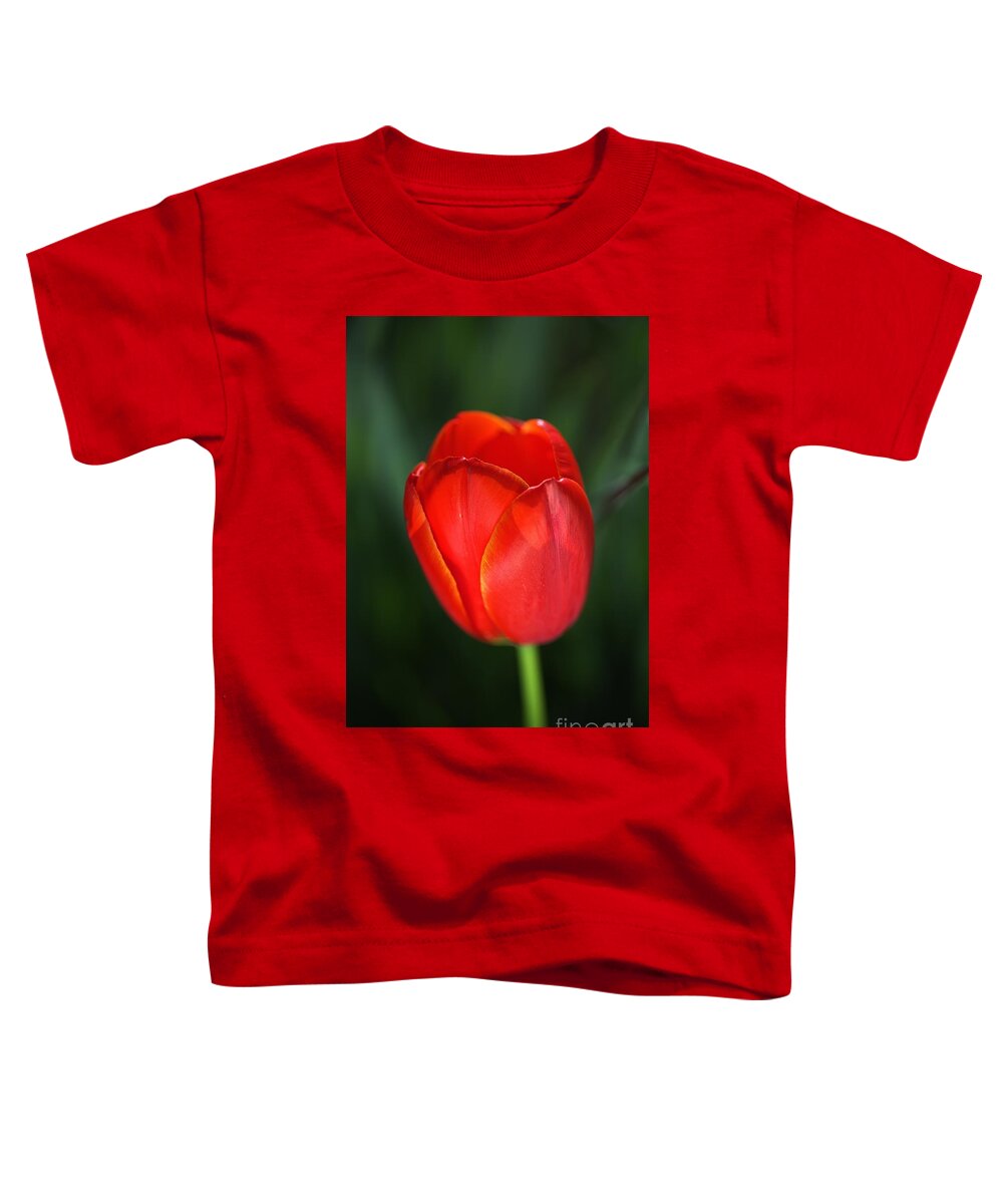 Tulip Toddler T-Shirt featuring the photograph Tulip Red With A Hint Of Yellow by Joy Watson