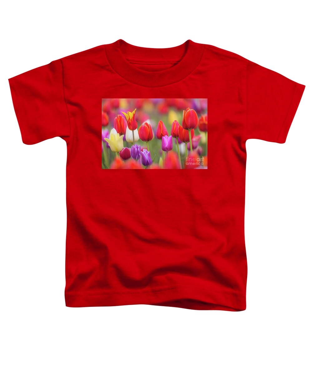 America Toddler T-Shirt featuring the photograph Tulip Study 1 by Inge Johnsson