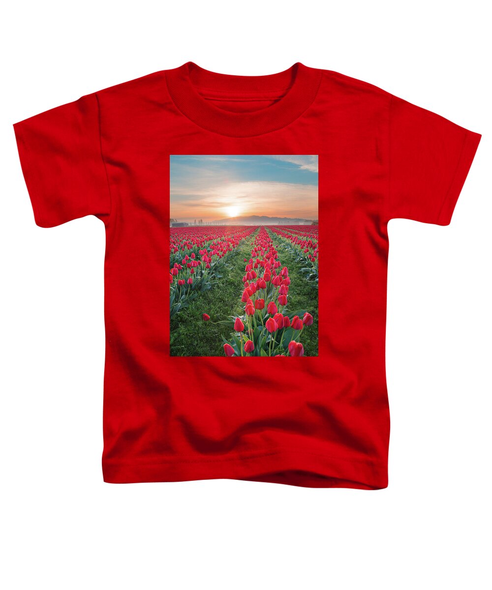Tulips Toddler T-Shirt featuring the photograph Tulips at Sunrise by Michael Rauwolf