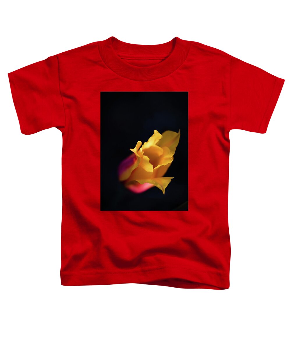 Tulip Summer Flowers Toddler T-Shirt featuring the photograph Yellow tulip in the spotlight by Nicole Engstrom