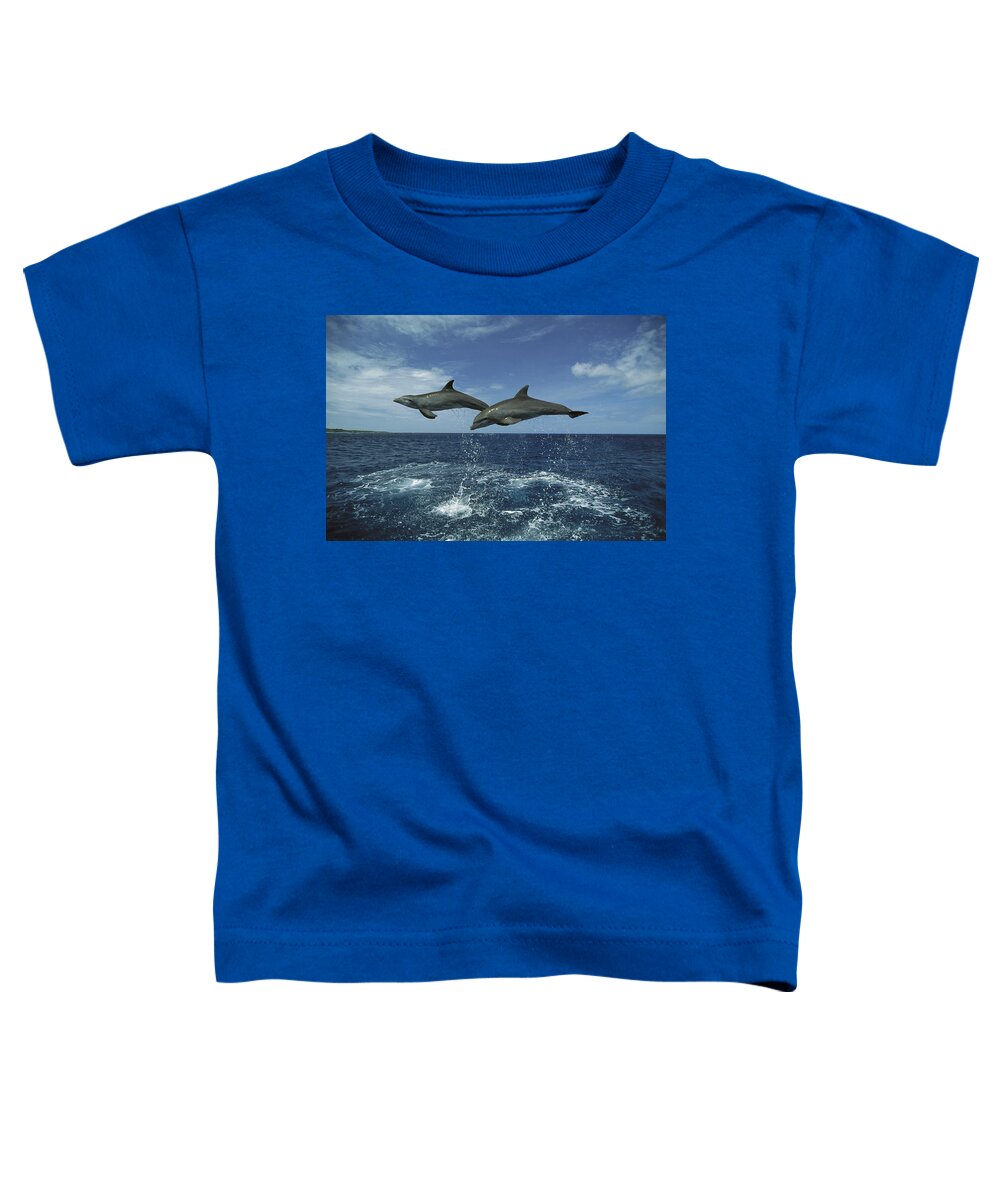 Feb0514 Toddler T-Shirt featuring the photograph Bottlenose Dolphin Pair Leaping Honduras #4 by Konrad Wothe