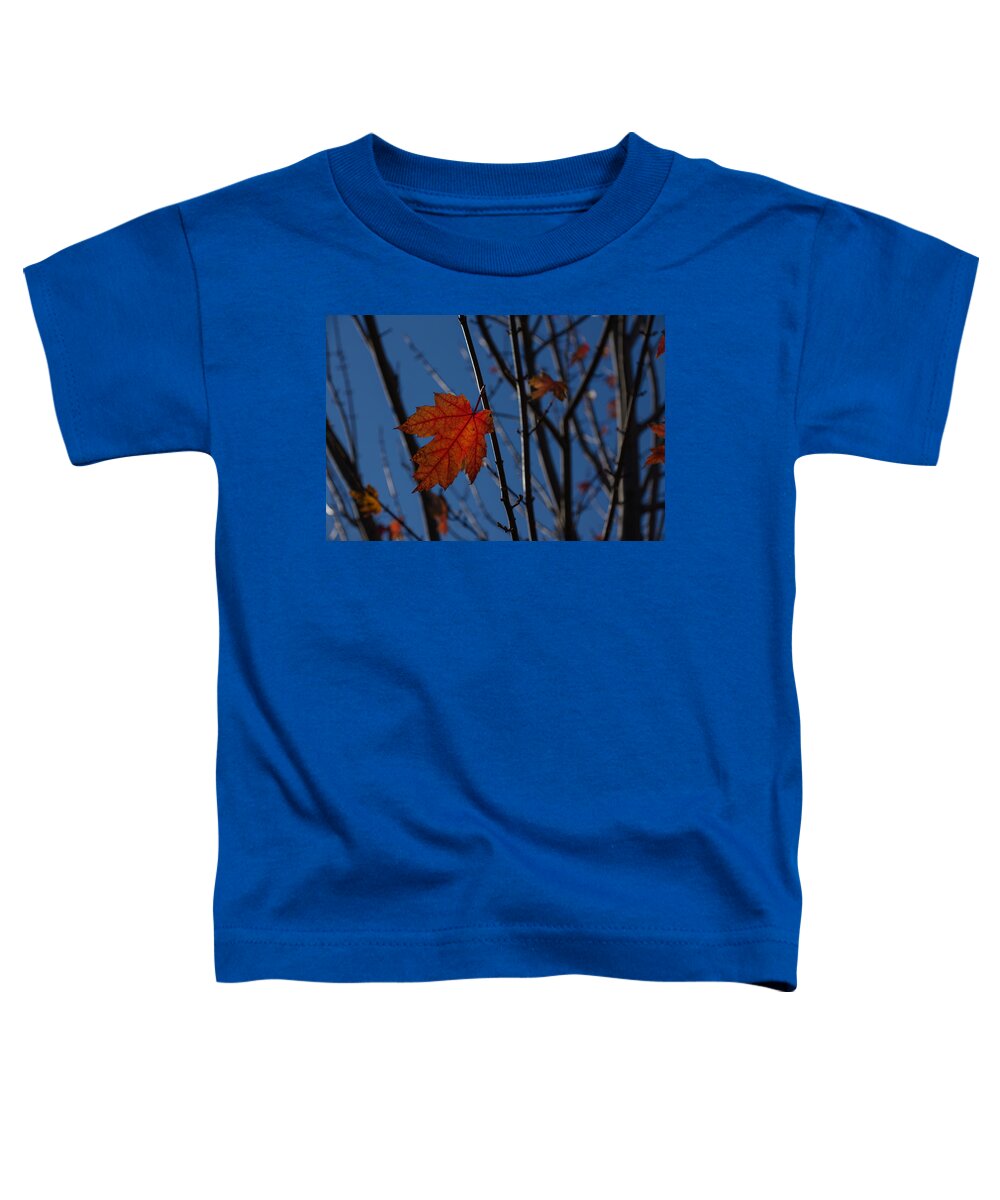 Almost Over Toddler T-Shirt featuring the photograph Almost Over - the Last Leaves by Georgia Mizuleva