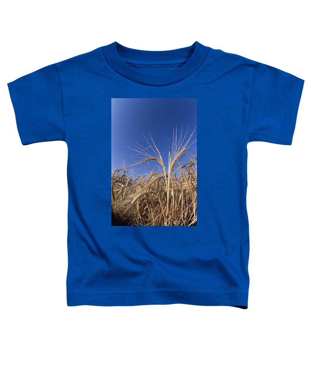 Feb0514 Toddler T-Shirt featuring the photograph Barley Field Germany by Konrad Wothe
