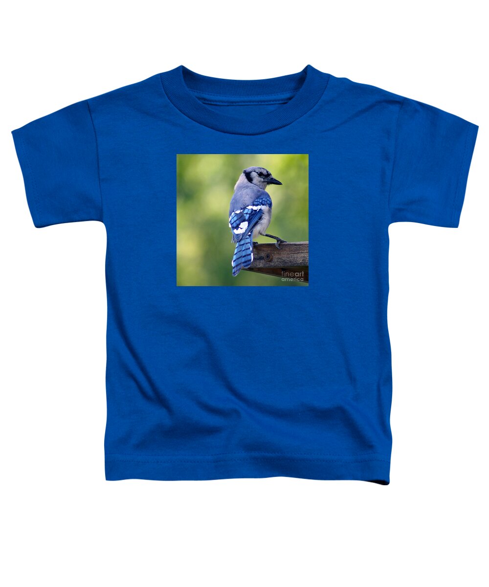 Bird Toddler T-Shirt featuring the photograph Blue Jay at Feeder by Karen Adams