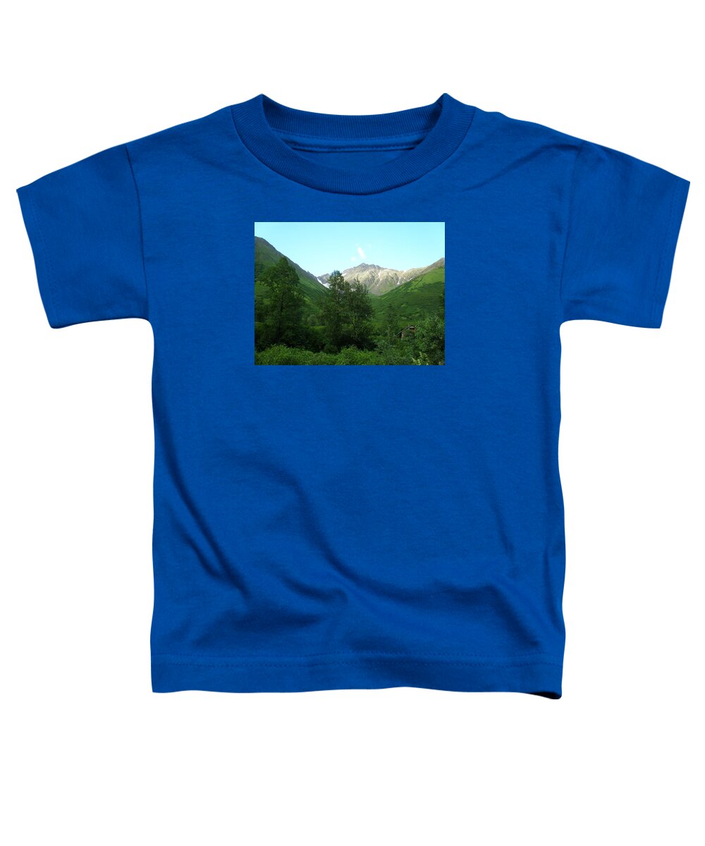 Cabin Toddler T-Shirt featuring the photograph Cabin in the Forest by Lucinda VanVleck