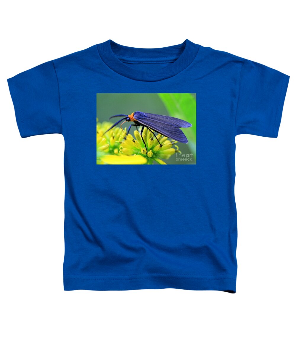 Bugs Toddler T-Shirt featuring the photograph Color Me Blue by Geoff Crego