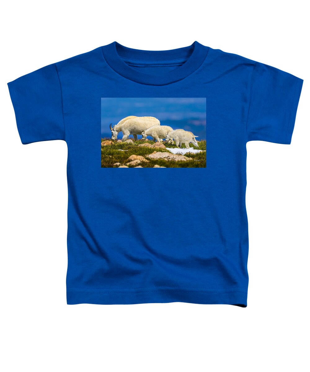 Mountain Toddler T-Shirt featuring the photograph Family Outing by Fred J Lord