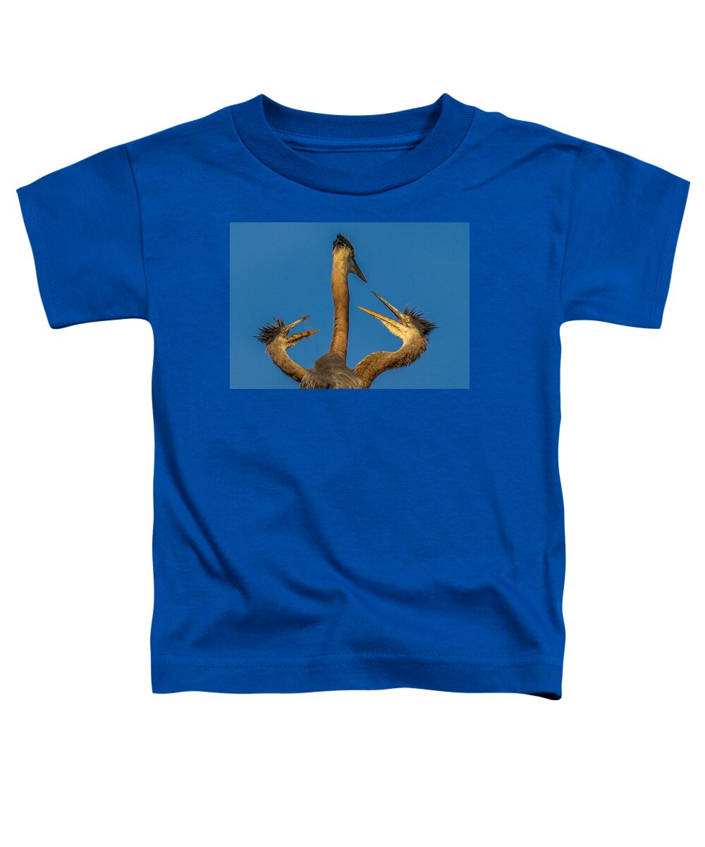 Great Blue Herons Toddler T-Shirt featuring the photograph First Come-First Serve by Kevin Dietrich