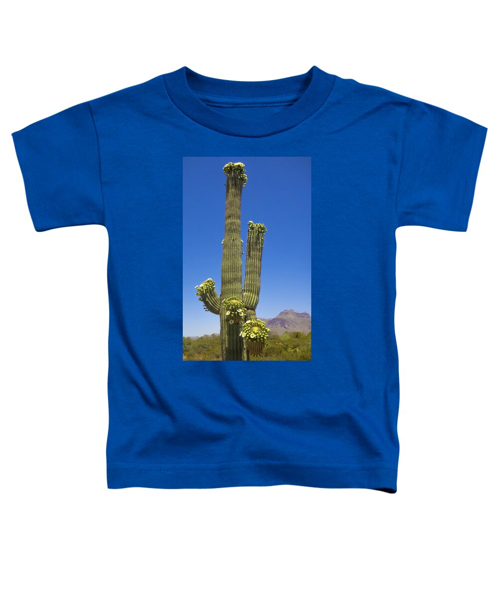 Flowers Toddler T-Shirt featuring the photograph Flowering Saguaro Cactus by Penny Lisowski