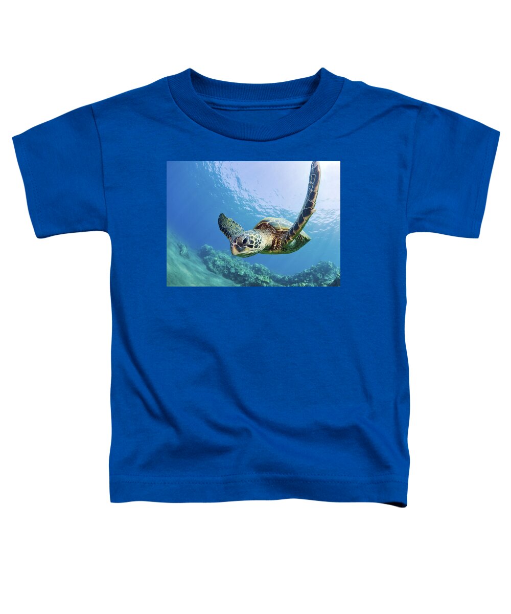Animal Toddler T-Shirt featuring the photograph Green Sea Turtle - Maui by M Swiet Productions