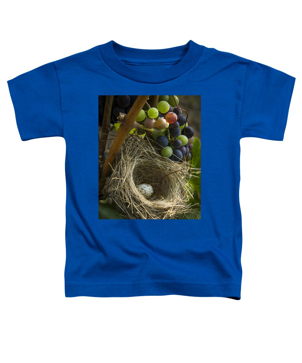 Vineyard Toddler T-Shirt featuring the photograph Home Alone by Jean Noren
