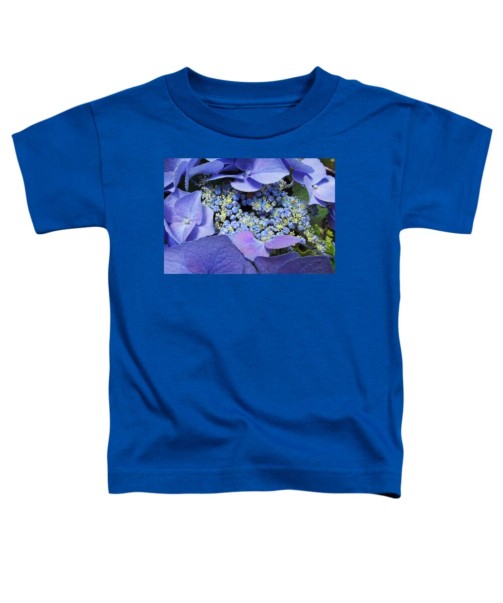 Plants Toddler T-Shirt featuring the photograph Hydrangea Blossom by Duane McCullough