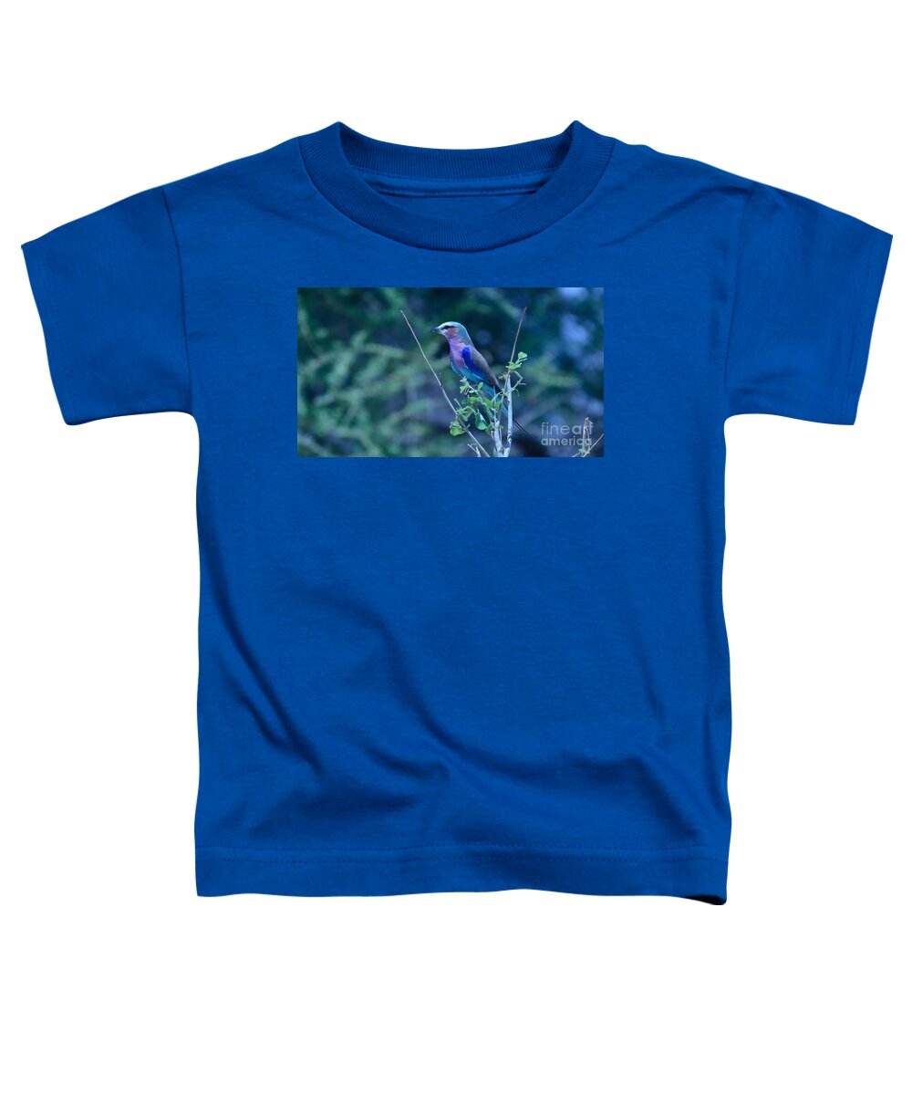 Colorful Toddler T-Shirt featuring the photograph Lilac Breasted Roller Bird Kenya by Tom Wurl