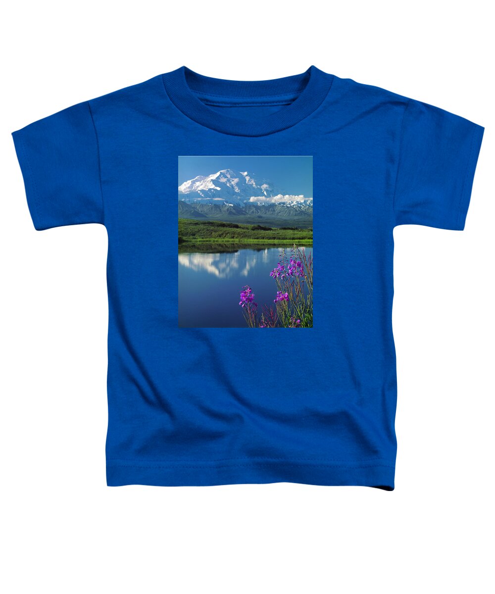 Mt. Mckinley Toddler T-Shirt featuring the photograph 1M1311-Mt. McKinley Reflect and Fireweed by Ed Cooper Photography