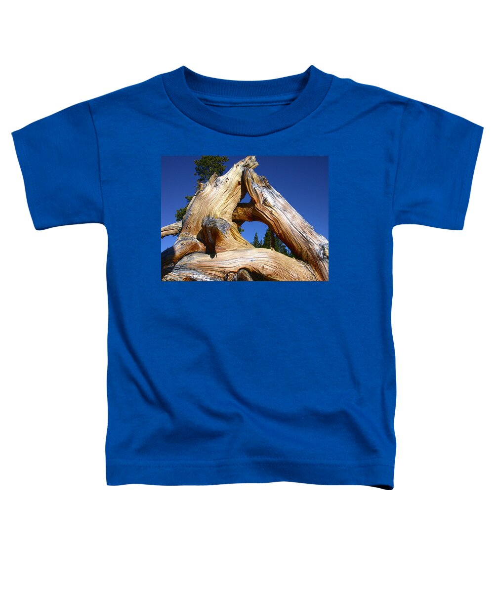 Triangle Toddler T-Shirt featuring the photograph Nature's Triangle by Shane Bechler