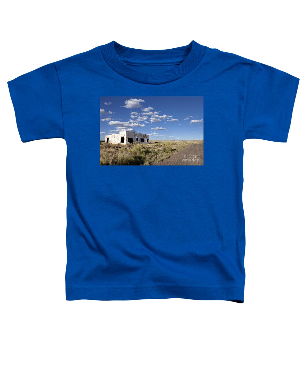 Route 66 Toddler T-Shirt featuring the photograph Route 66 and Painted Desert Trading Post by Rick Pisio