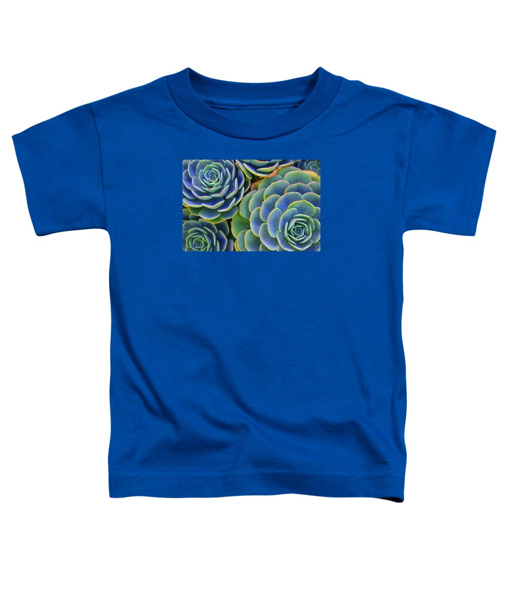 Succulent Toddler T-Shirt featuring the photograph Sempervivum by Andre Aleksis