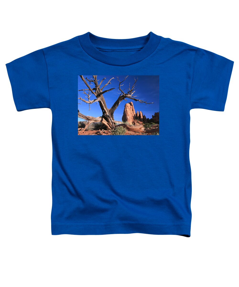 Feb0514 Toddler T-Shirt featuring the photograph Snag At Fiery Furnace Labyrinth Arches by Tim Fitzharris