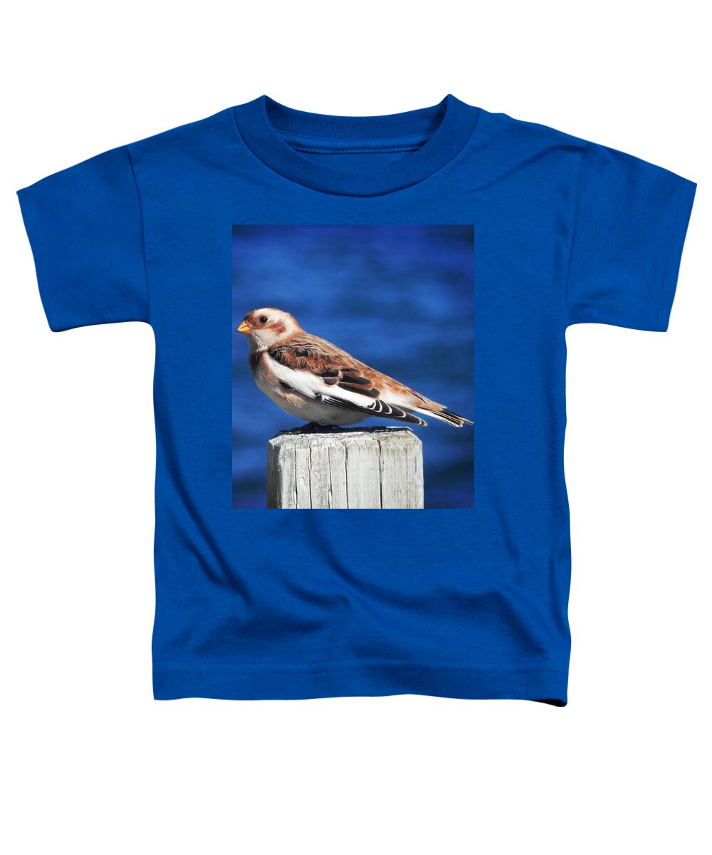 Snow Bunting Toddler T-Shirt featuring the photograph Snow Bunting by Zinvolle Art