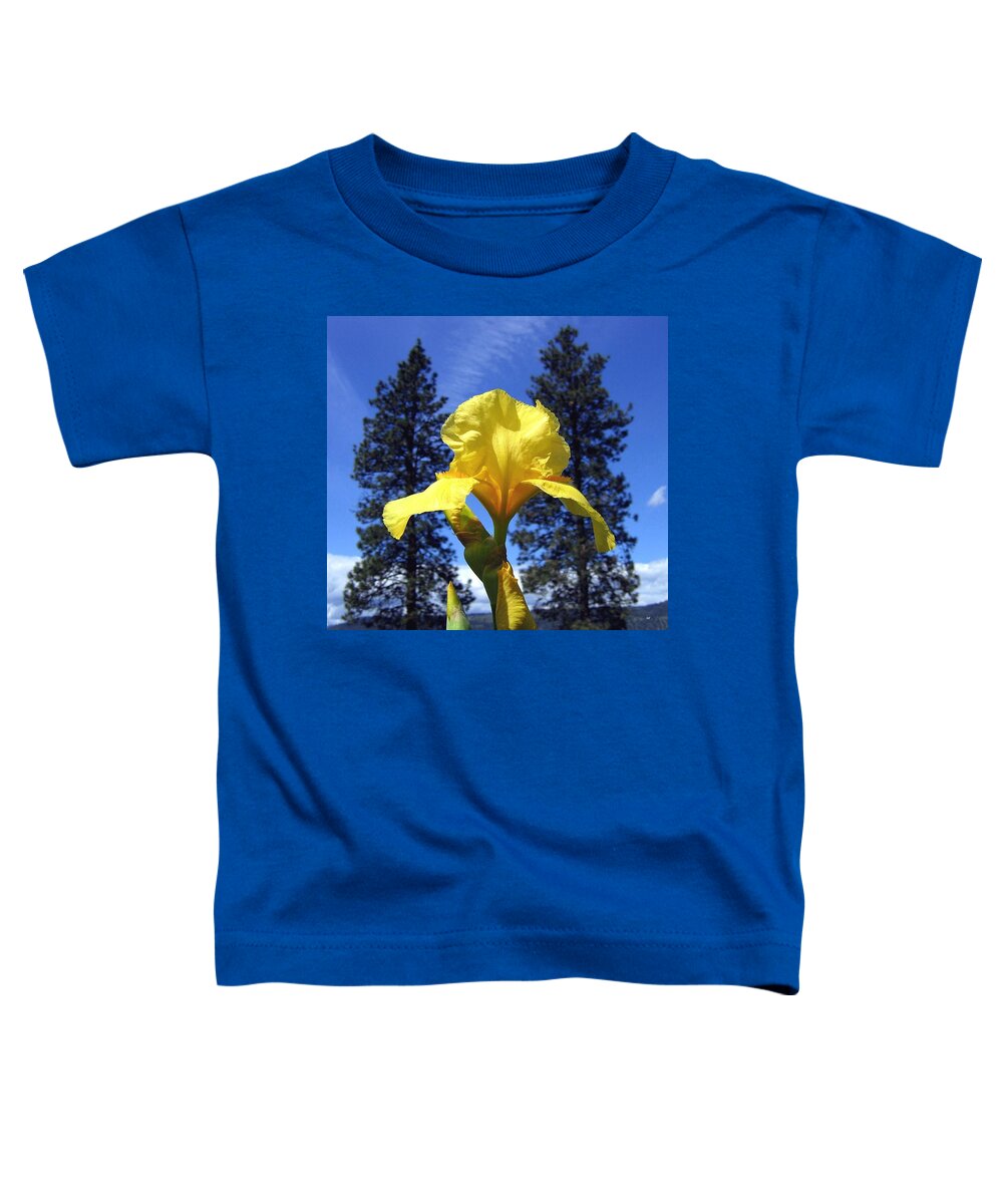 Sunlit Yellow Iris Toddler T-Shirt featuring the photograph Sunlit Yellow Iris by Will Borden