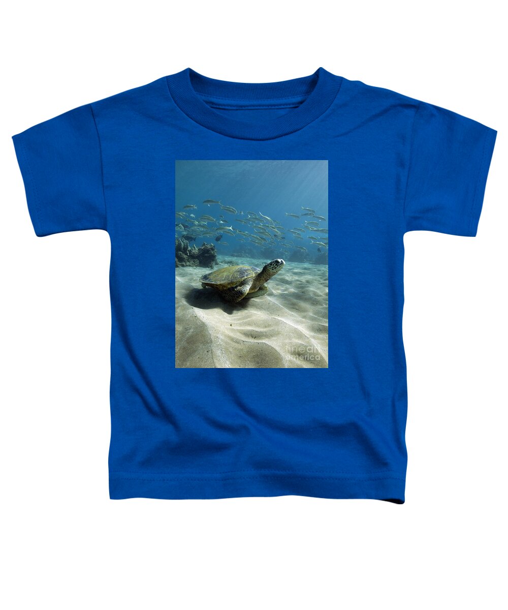 Green Toddler T-Shirt featuring the photograph Turtle Town Maui by David Olsen